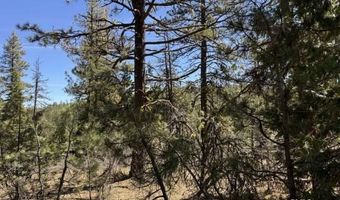 Horned Owl Lane, Bonanza, OR 97623