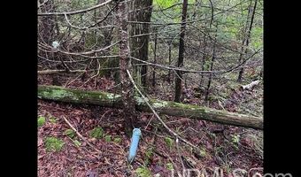 TBD Cable Lake, Amasa, MI 49903