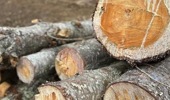 99999 Mountain Crest Dr, Bakersville, NC 28705