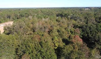 0 Cowpen Creek Rd, Atmore, AL 36502