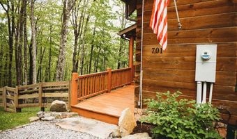701 Ridgetop Rd, Bastian, VA 24314
