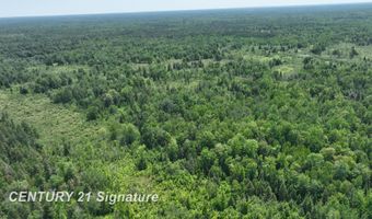 6002 Wildwood, Alger, MI 48610
