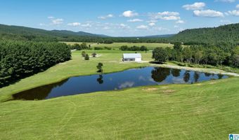 6150 SHOAL CREEK Rd 124+/- Acres, Ashville, AL 35953