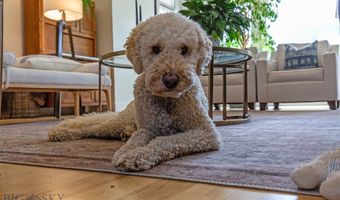 3382 Monida, Bozeman, MT 59718