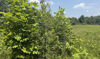 81 Happy Acres Rd, Beattyville, KY 41311