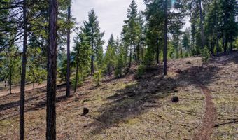 NKA Healing Drive Lot 3, Blanchard, ID 83804