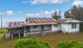 44-2906 KALOPA Rd, Honokaa, HI 96727