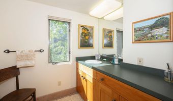 109 Neale Ave, Aspen, CO 81611