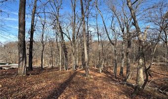 451403 Pheasant Cir Lot 56, Afton, OK 74331