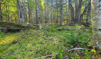 W McMann & Porcupine Hill Road lot 3, Addison, ME 04606