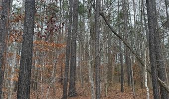 HARDWARE RD lot C1, Arvonia, VA 23004