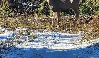 Tract B1, Anaconda, MT 59711