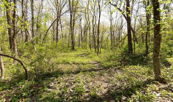 Tbd 194th Avenue, Argyle, IA 52619