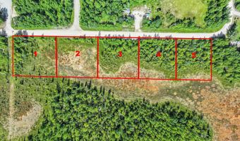 L1-5 W Huskie Drive, Big Lake, AK 99654
