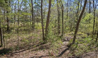County Road 1687, Alba, TX 75410