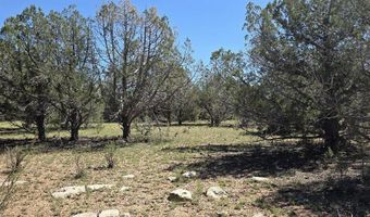 912 Westwood Rnch, Ash Fork, AZ 86320