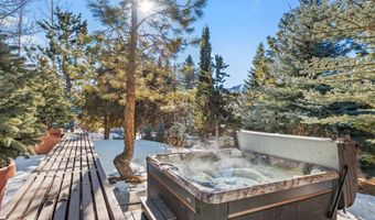 25 Nighthawk Dr, Aspen, CO 81611