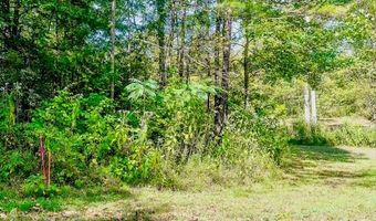 Bolestown Loop Lot 4, Alpine, TN 38543