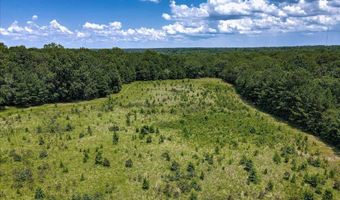 6925 Cobbham Rd, Appling, GA 30802