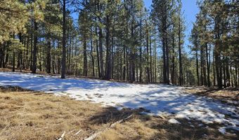 Lot 19 Buckskin Rd, Angel Fire, NM 87710