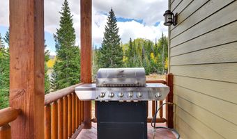 161 N IRISH, Brian Head, UT 84719