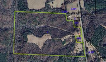 34655 Co Rd 49, Beaverton, AL 35544