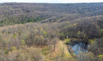 320 Acres CR 921, Alpena, AR 72611