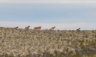 ERR State Hwy 118 S, Alpine, TX 79830