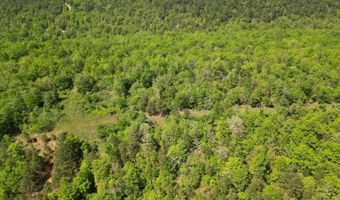 Tract 46 Trail Ridge Rd, Albion, OK 74571