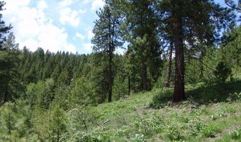 28 Rehn Loop Lot 2, Cascade, ID 83611