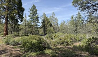 Porpoise Lane lot 29, Bonanza, OR 97623