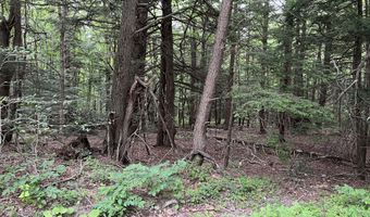 LOT26 Leonhardt Rd, Becket, MA 01223