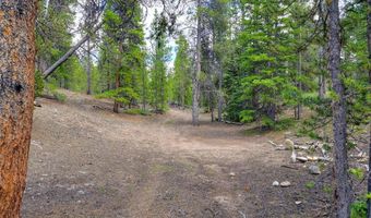 2221 Kootchie Kootchie Rd Lot 0, Alma, CO 80420