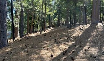 2179 Navajo, Arnold, CA 95223