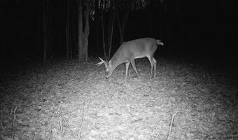 181 Gray Rd, Altamont, NY 12009