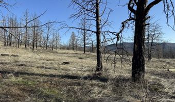 31763 Godowa Springs Rd, Beatty, OR 97621