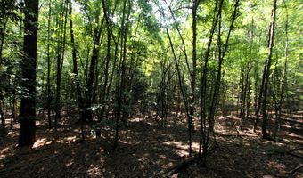 000 Sorrell Rd, Benton, AR 72015