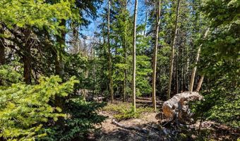 270 Co Rd 667 Lot 0, Alma, CO 80440
