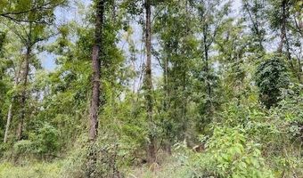 Lot 5 67th Pl, Bell, FL 32619