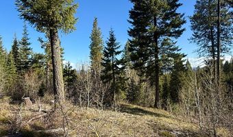 Urban Lane lot 5, Cascade, ID 83611