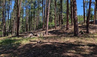 79 Spruce Way, Bayfield, CO 81122