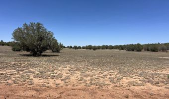 39303 N Bullock Rd, Ash Fork, AZ 86320