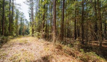 Tbd N COUNTY RD 1491, Alachua, FL 32615