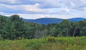 Shaver Hollow, Andes, NY 13731