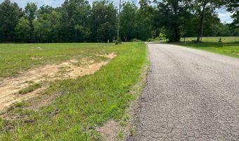 OLD MORRIS CHAPEL Rd, Adamsville, TN 38310