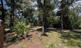 4700 55th Ave, Bell, FL 32619
