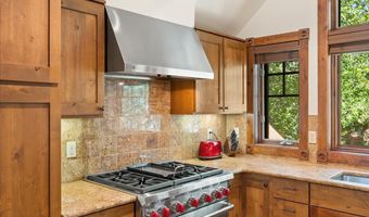 503 W Main St B202, Aspen, CO 81611