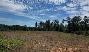 1139 W CR 19, Ariton, AL 36311