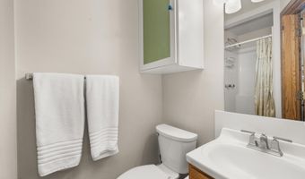 125 E Hyman Ave 1A, Aspen, CO 81611