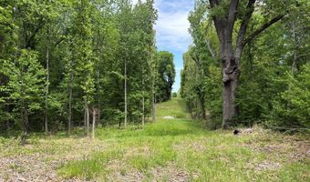 N Osborntown Rd, Arlington, TN 38002